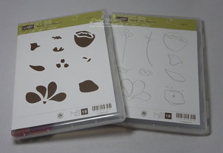Awash with Flowers Stamp Set