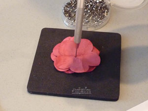Stampin Up Canada