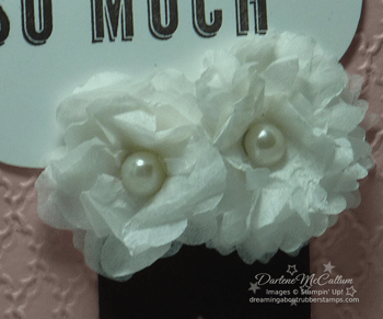 Crepe Flowers Close Up