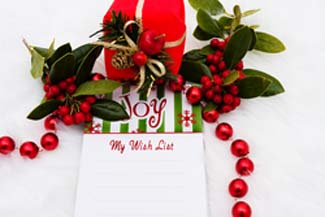 Holiday Wish List 